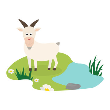 illustration of isolated a goat on white background