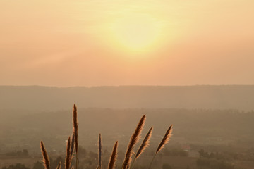 Beautiful sunset with dry grass for background