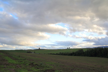 北海道の風景