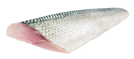 Sea bass fillet with skin, isolated on white background