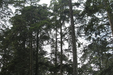 Parque en el pueblo de villa del carbón (Downtown park in Mexico)