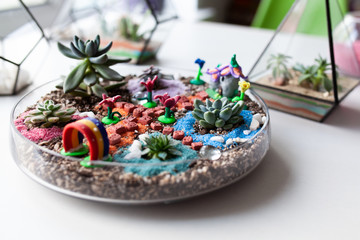 Florarium with succulents in a glass vase, a beautiful home decoration