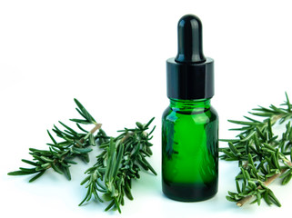 Bottle of rosemary essential oil with fresh green leaves on white background ,free space for your text.