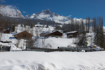 Beautiful Day in the Mountains with Snow-covered Fir Trees and a Snowy Mountain Panorama