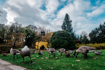 Park
