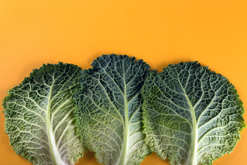 Fresh cabbage leaves on a yellow background. look like trees.