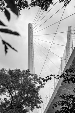Golden bridge framed by foliage of trees against the background of old houses in Vladivostok. Vertical. View from below. Black and white.