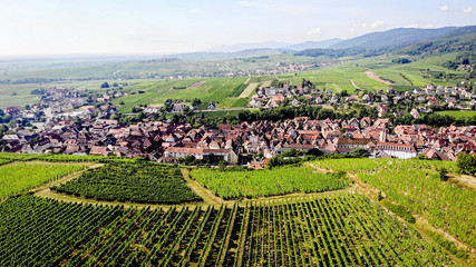 Drone view over the vineyards of Alsace, France with view of the Town of Ribeauvillé