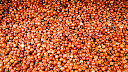 Close up Red Pepper Peppercorns