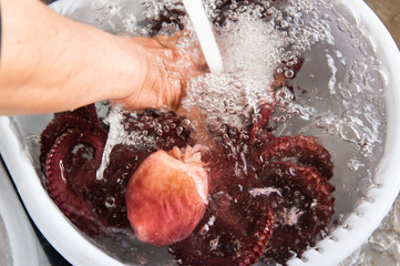 茹でたタコ（茹でだこ）