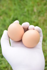 &oelig;ufs de p&acirc;ques 