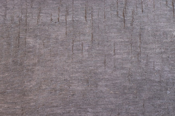 Gray cement background. The texture of the cement wall.