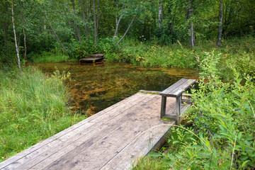 Unique radon-hydrogen sulfide sources of Mshenskie springs. Tver region, Russia.