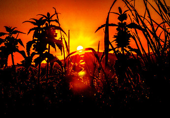 Sonnenuntergang 
