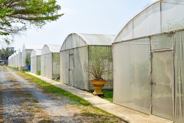 Fototapeta na wymiar nylon plastic greenhouse