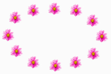Fototapeta na wymiar decorative collage frame of pink chrysanthemum flowers