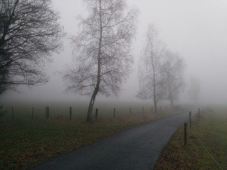 Spessart-Herbst