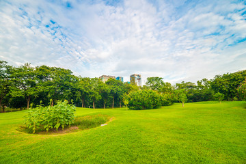 Fototapeta na wymiar Green public park meadow blue sky for leisure