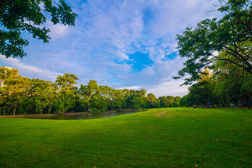 Green public park meadow blue sky for leisure