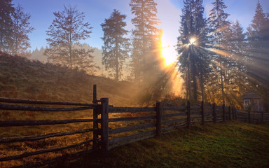 Rays of the sun in the morning haze. Beautiful dawn with sunbeams. Evening sky in the rays of...