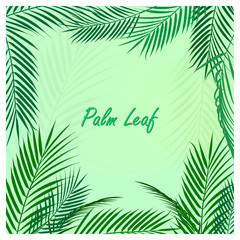 palm leaf palm beach coconut tree
