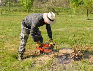 Travail de bûcheron pour ce jardinier afin de couper cet arbre et sa souche grâce à une tronçonneuse puissante et efficace