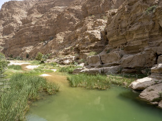 Wadi Shab, beautiful scenery, high rocks, stream with clear water. Oman