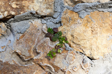 wall of yellow stones of different sizes fastened with gray cement