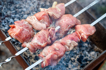 Grilling raw meat on outdoor grill. Cooking meat barbecue on charcoal grill at picnic. Kebab grilling at barbeque party