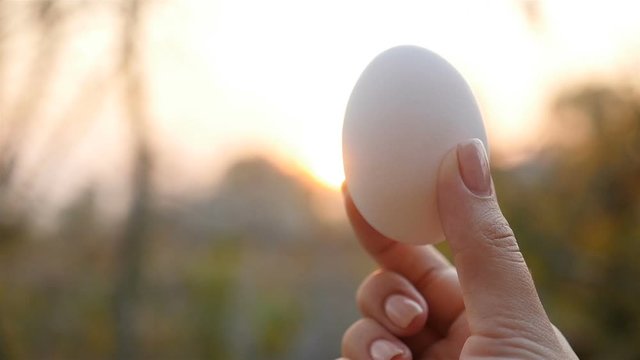 White chicken egg in a female hand. Close-up. Slow motion