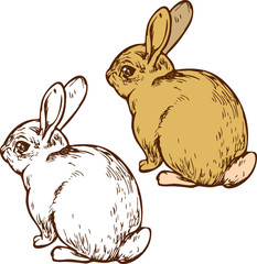 Cute watercolor bunny set, small adorable baby rabbits on white background. Hand drawn line art and color vector stock illustration