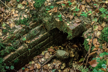 natur