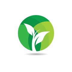 Ecology logo template