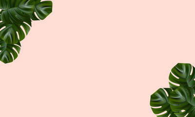 Tropical island. Flower and palm wallpaper. Vector jungle illustration. Exotic tropical jungle rainforest bright green monstera leaves border frame template on pink background.