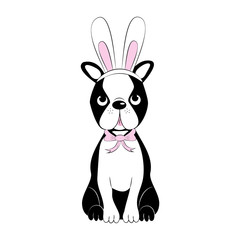 Cute Boson Terrier in bunny ears. Easter Illustration - vector 