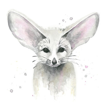Fennec fox. Animal portrait. Watercolour illustration isolated on white background.