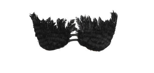 black devil wings isolated on white background