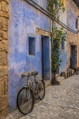 Fototapeta na wymiar blue facade of blue old house with a bicycle