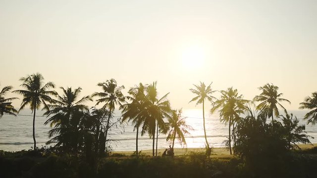 A Motorcycle Passing Through The Varkala Beach With Coconut Trees During Sunset In Thiruvananthapuram District, India. -wide shot