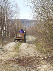 Fototapeta na wymiar Man in self-propelled tractor riding into the forest for firewood
