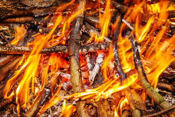 Closeup of blazing campfire, Campfire burning logs in large orange and yellow flames in close up of the wood aflame. Close up of a hot burning fireplace with flames and gloweing ember