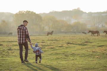 Family in a summer field. Father in a red shirt. People walking near horses/