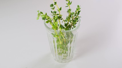 Non-alcoholic drink with herbs on white kitchen table. Close up.