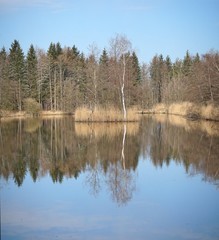 Fototapeta na wymiar Schöne Insel in Moorsee