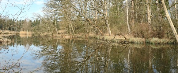 Großes Ufer-Panorama an einem Moorsee