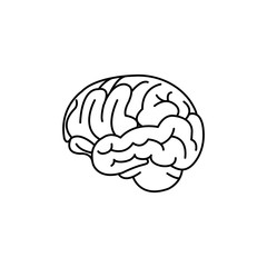 thin line icons for Brain,vector illustrations