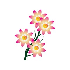Obraz na płótnie Canvas Flower Logo Design Vector Template