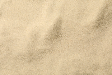 Fototapeta na wymiar Dry sea sand background, close up. Summer. Vacation