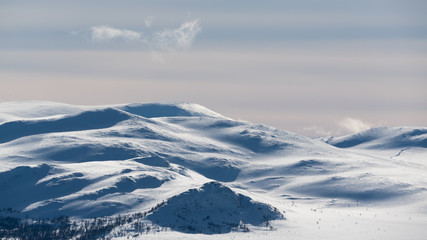 Winter landscape in Dovrefjell-Sunndalsfjella National Park, Norway