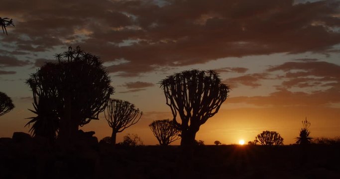 Colorful sunset with beautiful sky, in the Quiver Tree Forest of Namibia, 4k